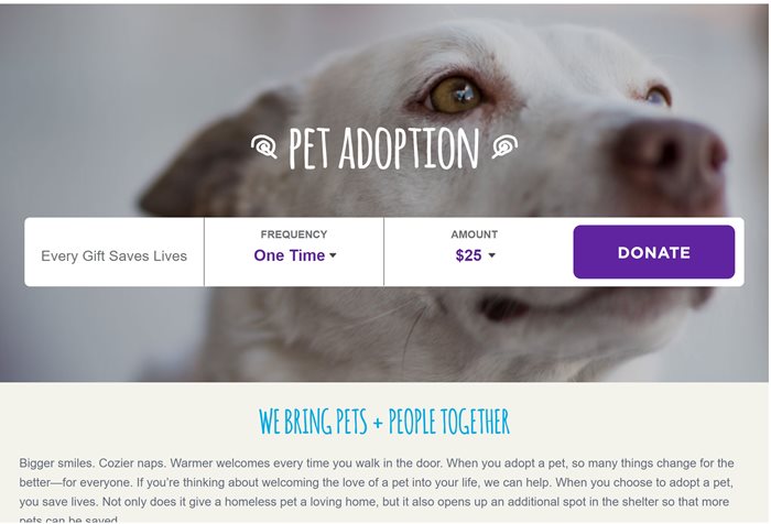 Simplified Multisite Deployment for Petco Foundation
