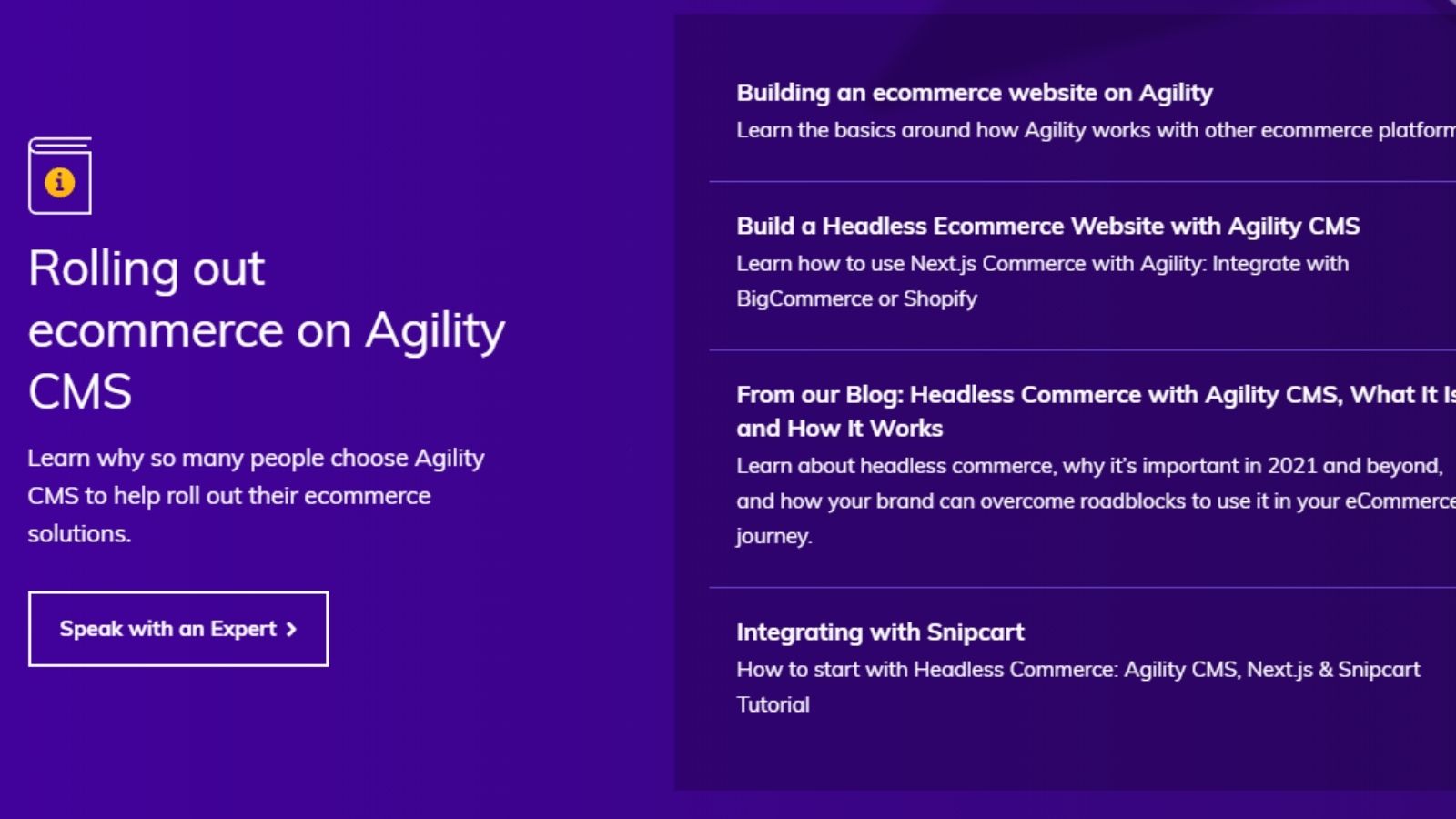 Ecommerce strategy with Agility CMS