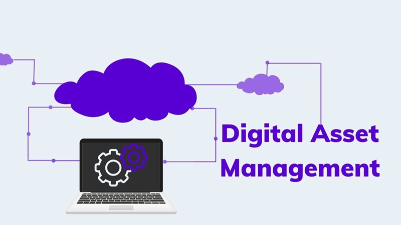 Digital asset management on agilitycms.com