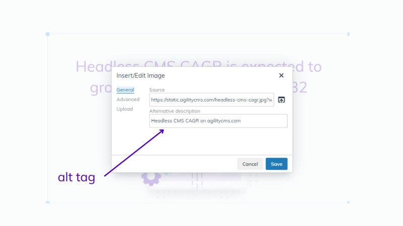 Implementing alt tag optimizations with Agility CMS