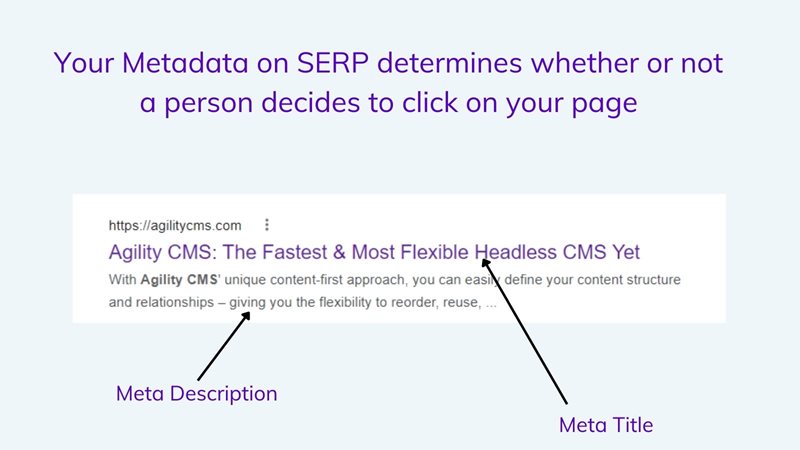 Meta data for SEO results on SERP 