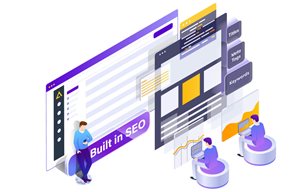 Built in SEO properties and fields