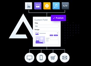 Publish your Headless CMS content