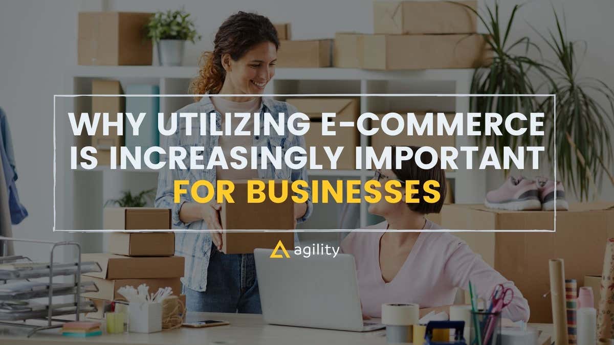 Ecommerce Business Strategies in a Digital Era | Agility CMS