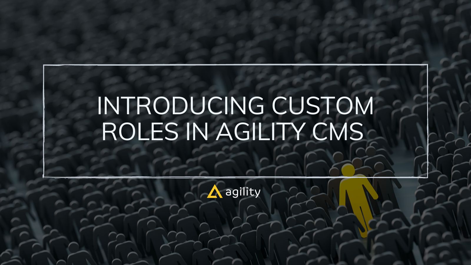 Introducing Custom Roles in Agility CMS