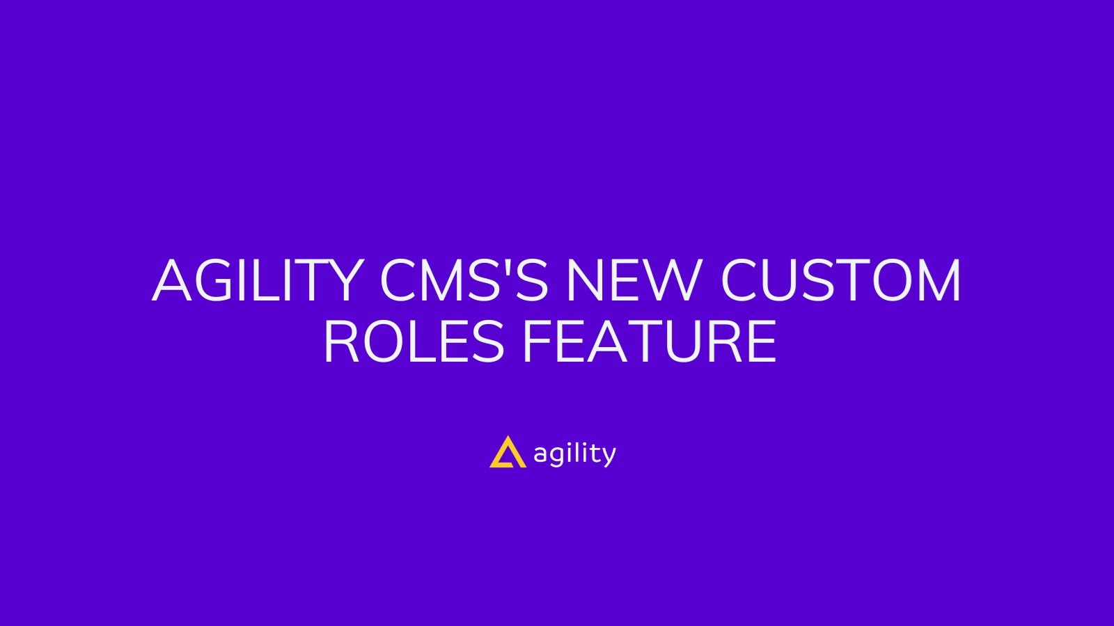 Agility CMS's new Custom Roles feature 
