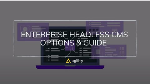 Enterprise Headless CMS Vendors