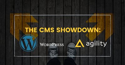 WordPress And Its Alternatives: Headless CMS