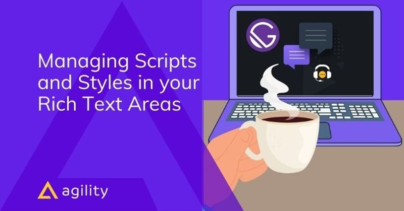 Managing Scripts and Styles in your Rich Text Areas