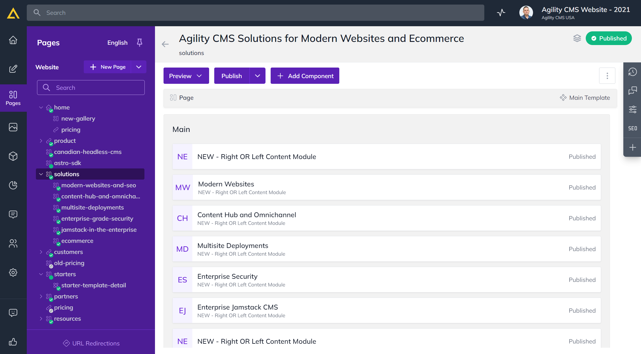 User interface of Agility CMS, the best CMS for SEO