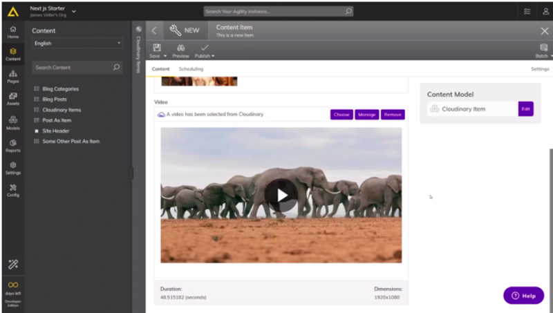 Preview the selected video in Agility CMS