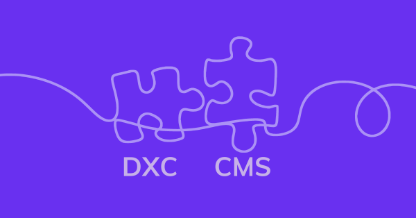  DXC and Headless CMS 