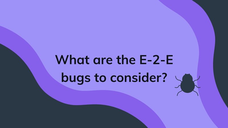 What are the E-2-E bugs to consider? on agilitycms.com