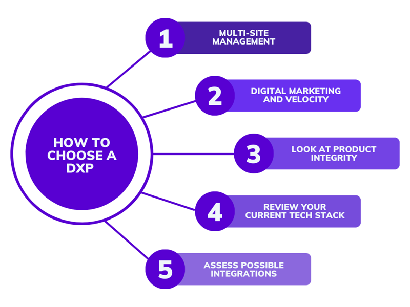 How to Choose a DXP 