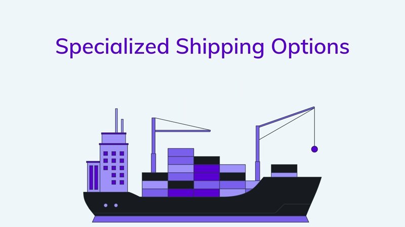 Specialized Shipping Options agilitycms.com
