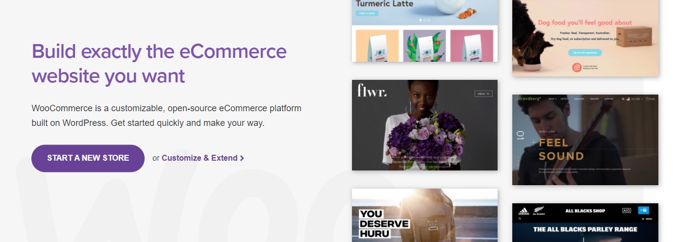 woocommerce for ecommerce websites